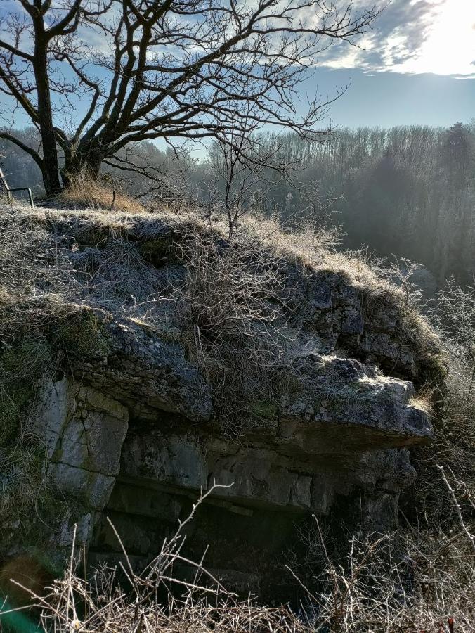 Cochlea Bed and Breakfast Marche-en-Famenne Buitenkant foto